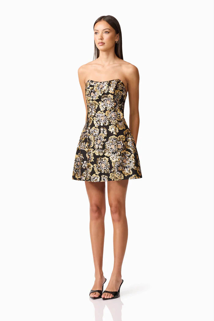 Celeste Mini Dress