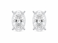 Sofia Oval Studs
